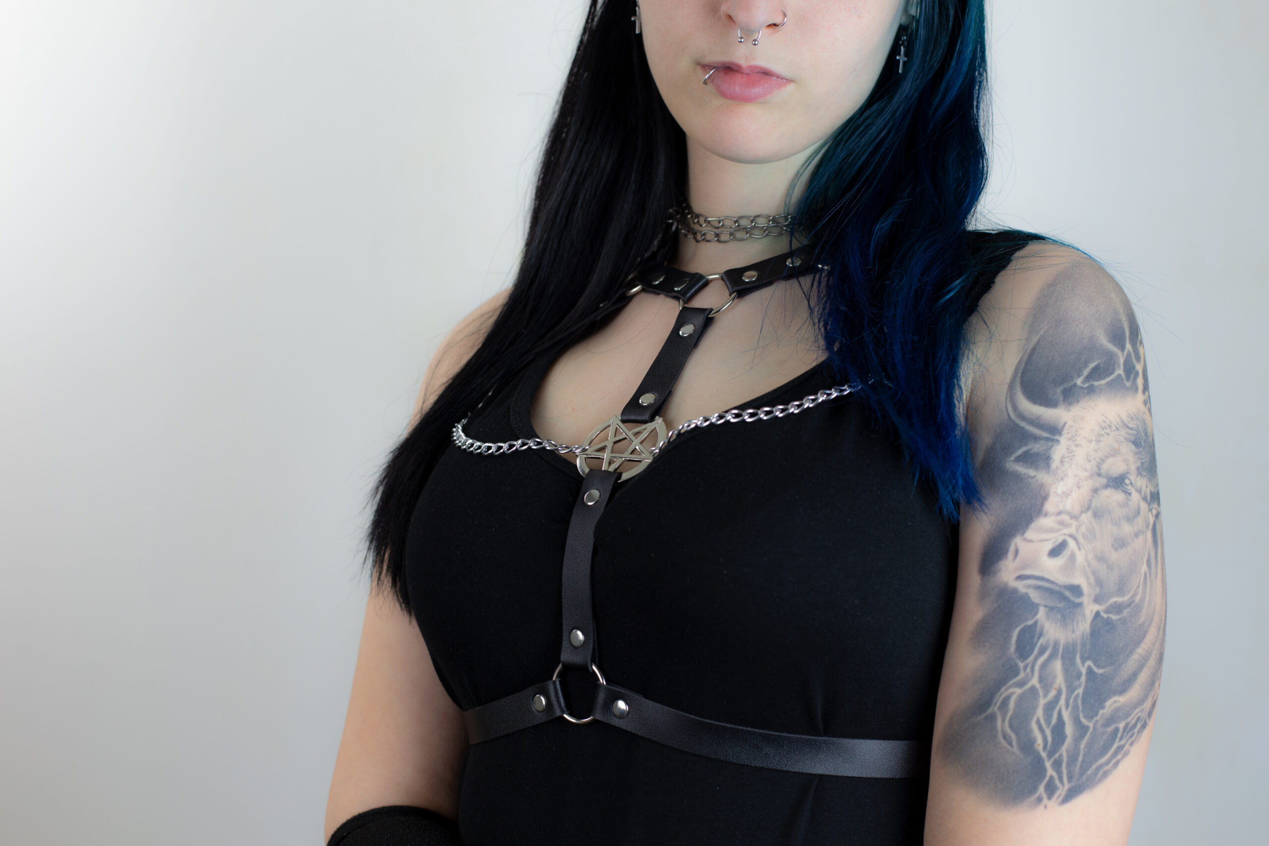 Harnesi